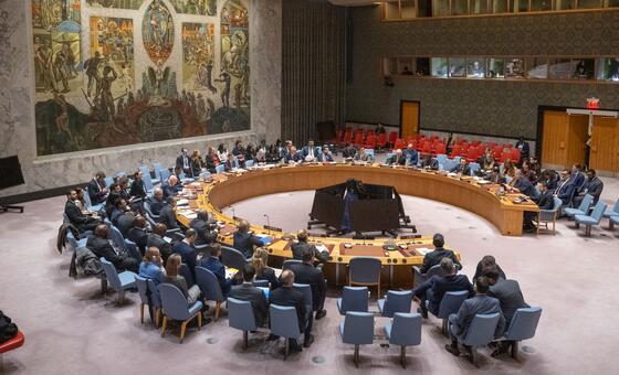 联合国安理会召开会议，讨论利比亚问题。